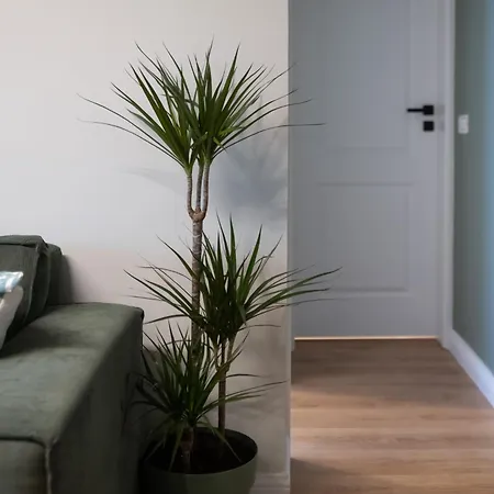 Apartamento Old Town 1 Bedroom Metro *