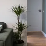 아파트 Old Town 1 Bedroom Metro *