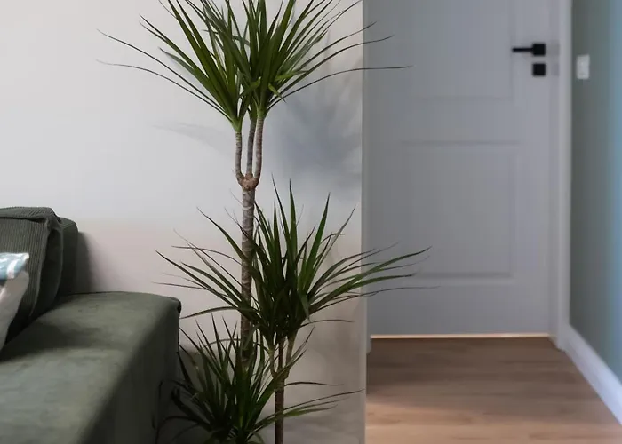 Апартаменти Old Town 1 Bedroom Metro *